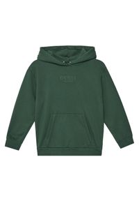 Guess Bluza L5YQ25 KAV34 Zielony Oversize. Kolor: zielony. Materiał: bawełna