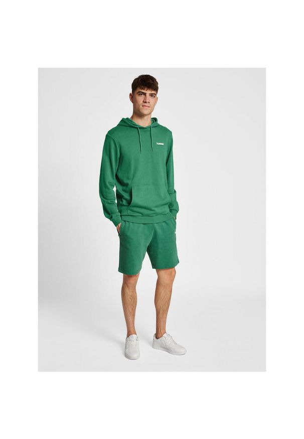 Bluza z kapturem Hummel lgc Gabe. Typ kołnierza: kaptur. Kolor: zielony