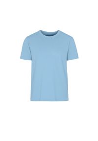 Ochnik - T-shirt męski. Okazja: na co dzień. Kolor: niebieski. Materiał: bawełna. Styl: casual