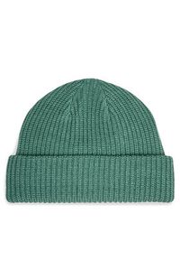 The North Face Czapka Salty Lined BeanieNF0A3FJWI0F1 Zielony. Kolor: zielony. Materiał: materiał #3