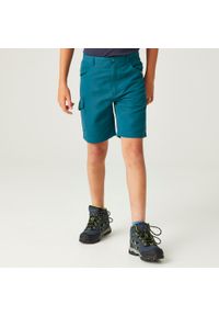 Regatta - Sorcers II dziecięce spodnie trekkingowe. Kolor: niebieski. Materiał: poliester. Styl: sportowy. Sport: turystyka piesza #1
