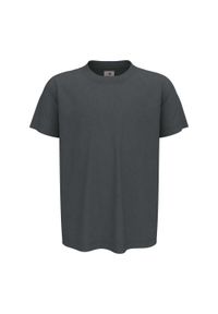 Stedman - Koszulka Dziecięca Klasyczna. Kolor: szary. Sport: turystyka piesza #1