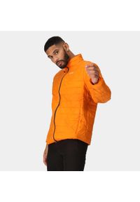 Regatta - Kurtka turystyczna przejściowa męska Hillpack pikowana. Kolor: pomarańczowy. Materiał: puch, poliamid. Sport: turystyka piesza #1