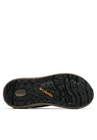 columbia - Columbia Sandały Konos Hiker 2121571 Brązowy. Kolor: brązowy. Materiał: zamsz, skóra