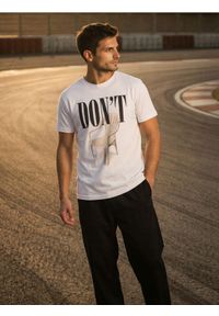 Sinsay - Bawełniana koszulka z krótkim rękawem - biały. Kolor: biały. Materiał: bawełna. Długość rękawa: krótki rękaw. Długość: krótkie #1