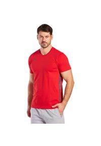 ERIMA - Jersey Erima Essential Team. Kolor: szary, czerwony, wielokolorowy. Materiał: jersey. Sport: piłka nożna #1