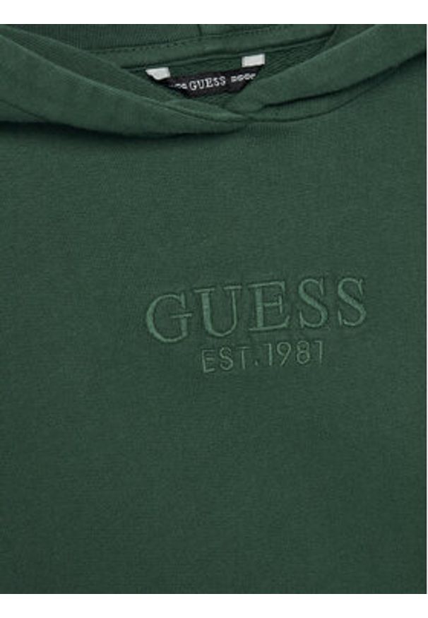 Guess Bluza L5YQ25 KAV34 Zielony Oversize. Kolor: zielony. Materiał: bawełna