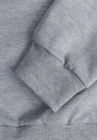 Born2be - Szara Bluza z Bawełną Ozdobiona Ściągaczami Hilani. Okazja: na spacer, na co dzień. Kolor: szary. Materiał: bawełna. Wzór: aplikacja. Styl: casual, elegancki, klasyczny #5