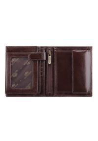 Wittchen - Męski portfel skórzany duży ciemny brąz. Kolor: brązowy. Materiał: skóra. Wzór: aplikacja #3