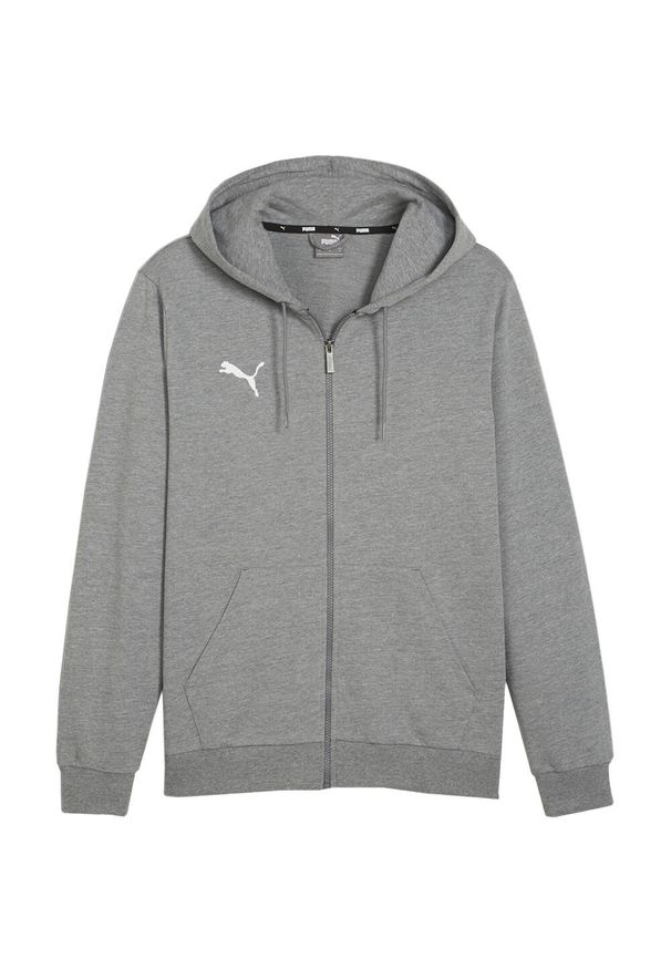 Puma - Męska Bluza Z Kapturem Team Goal. Typ kołnierza: kaptur. Kolor: szary