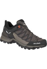 Buty trekkingowe damskie Salewa Mtn Trainer Lite Gtx. Zapięcie: sznurówki. Kolor: pomarańczowy, brązowy, wielokolorowy. Materiał: materiał, syntetyk. Szerokość cholewki: normalna