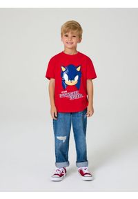 Sinsay - Koszulka z aplikacją Sonic the Hedgehog: Modern - czerwony. Kolor: czerwony. Wzór: aplikacja #1
