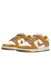 Buty do chodzenia dla dorosłych Nike Dunk Low Next Nature Phantom. Kolor: brązowy. Sport: turystyka piesza