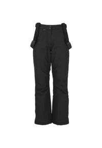 Dziecięce spodnie narciarskie Whistler Drizzle 10000. Kolor: czarny. Sezon: zima. Sport: narciarstwo #1
