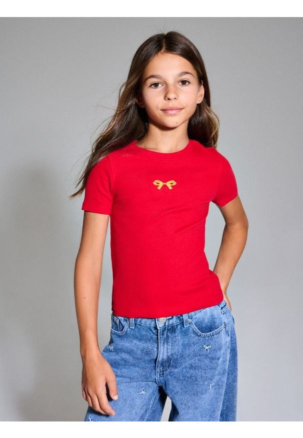 Sinsay - Prążkowana koszulka z haftem - czerwony. Kolor: czerwony. Materiał: prążkowany. Wzór: haft