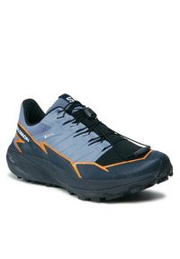 salomon - Salomon Buty do biegania Thundercross GORE-TEX L47383100 Niebieski. Kolor: niebieski. Technologia: Gore-Tex