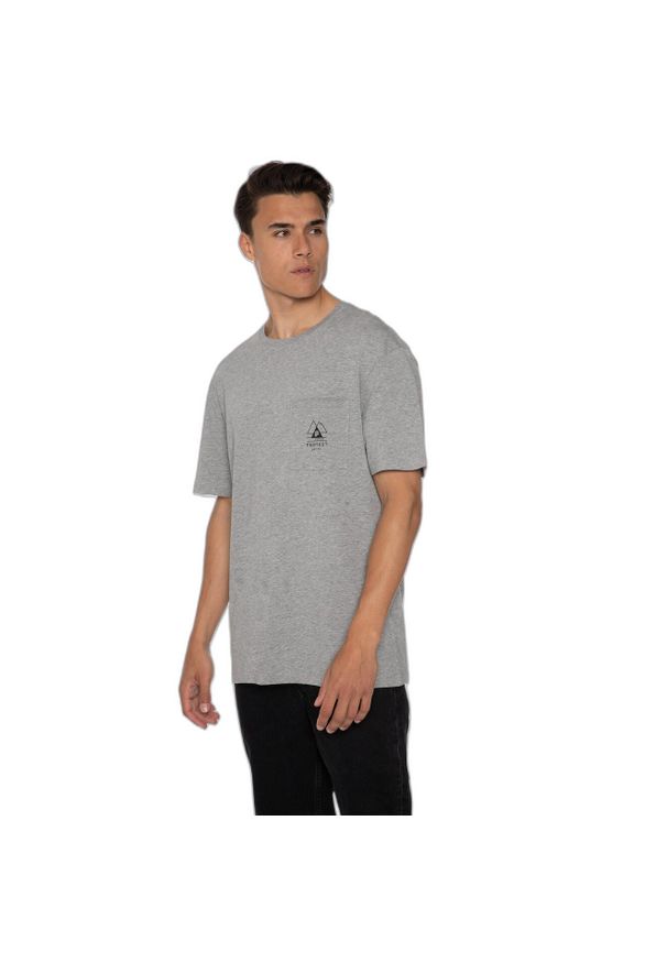 Koszulka Protest Isiah. Kolor: szary. Materiał: bawełna. Sport: turystyka piesza