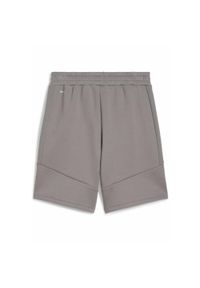 Puma - Męskie szorty EVOSTRIPE 8" PUMA Cast Iron Gray. Kolor: szary