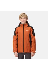 Hurdle IV Regatta dziecięca turystyczna kurtka zimowa. Kolor: pomarańczowy. Materiał: poliester. Sezon: zima #1