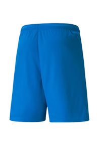 Puma - Męskie Spodenki Team Liga. Kolor: niebieski