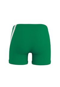 ERREA - Spodnie Krótkie Errea Amazon Panta 3.0 Ad Damskie. Kolor: wielokolorowy, biały, zielony. Długość: krótkie. Sport: bieganie, siatkówka #2