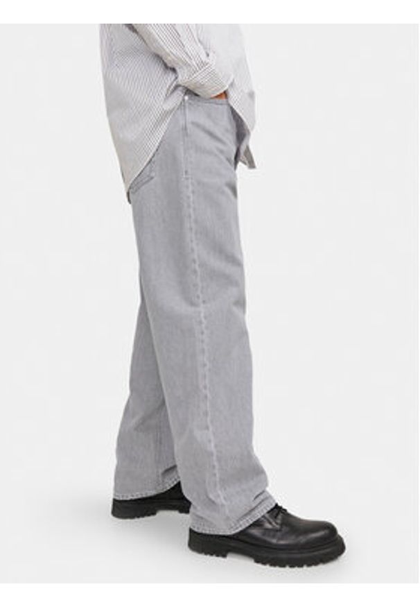 Jack & Jones Jeansy Alex 12249060 Szary Baggy Fit. Kolor: szary