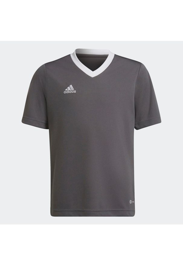 Adidas - Koszulka piłkarska dla dzieci adidas Entrada 22 Jersey. Kolor: szary. Materiał: jersey. Sport: piłka nożna