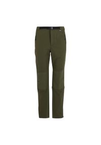 Spodnie turystyczne Regatta Montorn. Kolor: zielony, brązowy, wielokolorowy. Sezon: lato. Sport: turystyka piesza #1