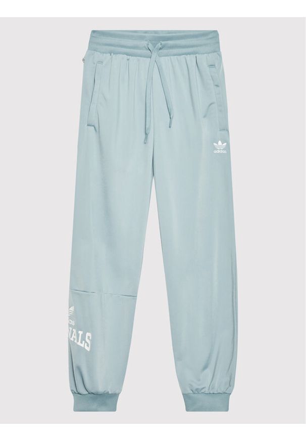 Adidas - adidas Spodnie dresowe Graphic Print HL6883 Błękitny Relaxed Fit. Kolor: niebieski. Materiał: syntetyk. Wzór: nadruk
