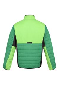 Regatta - Męska Kurtka Halton VII Contrast Panel Baffled Padded Jacket. Kolor: zielony