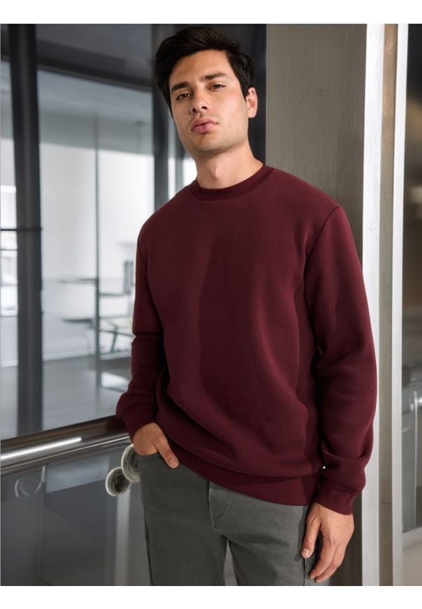 Sinsay - Bluza basic - bordowy. Kolor: czerwony. Długość rękawa: długi rękaw. Długość: długie