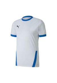 Puma - Męska Koszulka TeamGoal 23. Kolor: niebieski, wielokolorowy, biały. Sport: turystyka piesza