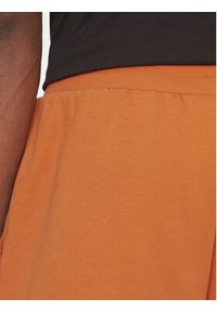 The North Face Szorty sportowe Nse Box NF0A8C1J Brązowy Regular Fit. Kolor: brązowy. Materiał: bawełna, syntetyk. Styl: sportowy #5