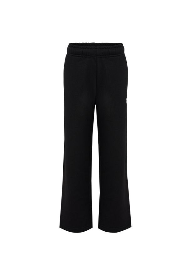 Spodnie dresowe dla dzieci Hummel Wl Bee. Kolor: czarny. Materiał: dresówka