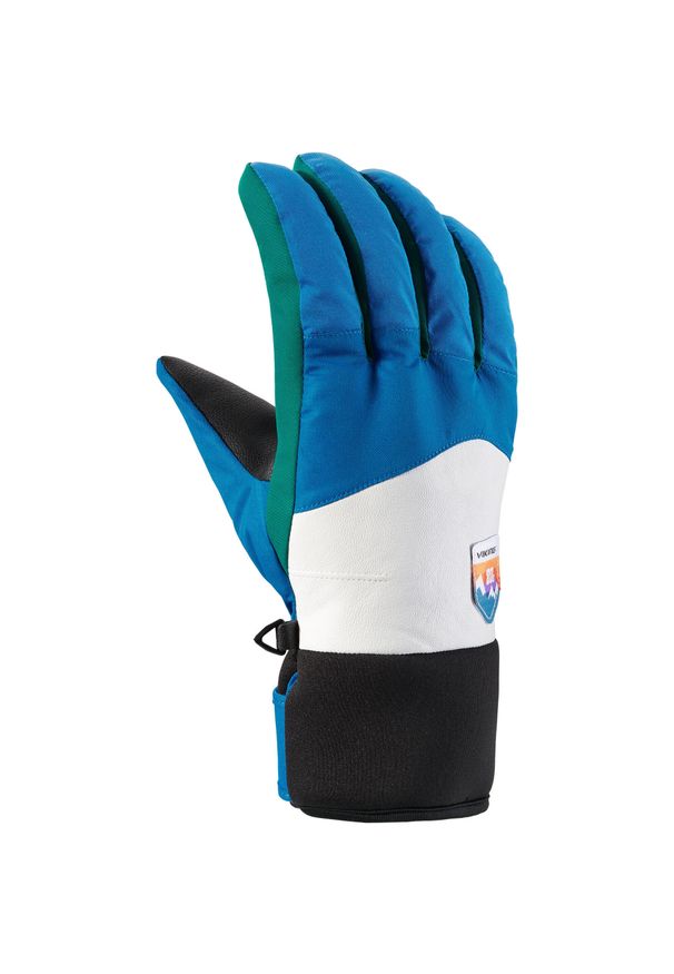 Rękawice narciarskie Viking Cool Daddy. Kolor: czarny, wielokolorowy, biały. Sezon: zima. Sport: narciarstwo