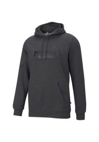 Bluza z kapturem Puma Essentials Big Logo, Mężczyźni. Typ kołnierza: kaptur. Kolor: szary. Materiał: bawełna, materiał