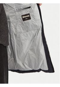 Blauer Kurtka puchowa 24WBLDK03052 Granatowy Regular Fit. Kolor: niebieski. Materiał: syntetyk #6