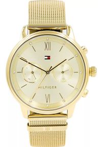 Zegarek Tommy Hilfiger ZEGAREK DAMSKI TOMMY HILFIGER BLAKE (zf515a) #1