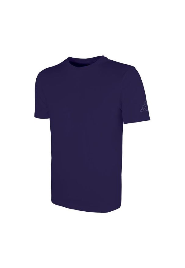 Koszulka dla dzieci Kappa Rieti. Kolor: niebieski. Sport: fitness