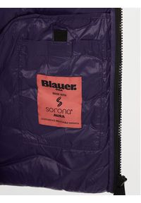 Blauer Kurtka puchowa 23WBLUC02084 Błękitny Regular Fit. Kolor: niebieski. Materiał: syntetyk #8