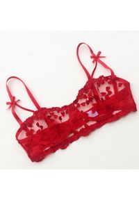 Intica - Komplet bielizny z haftem w serca Deniece. Kolor: czerwony. Wzór: haft #10