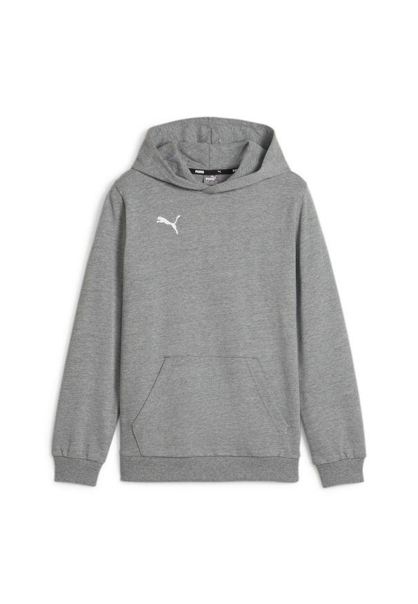 Bluza dla dzieci Puma Team Goal Casuals Hoddy. Kolor: szary. Sport: piłka nożna