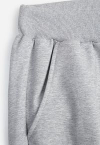 Born2be - Szare Spodnie Dresowe z Bawełną ze Ściągaczami Hailise. Okazja: na co dzień, do domu. Kolor: szary. Materiał: bawełna, dresówka. Styl: casual, sportowy #3