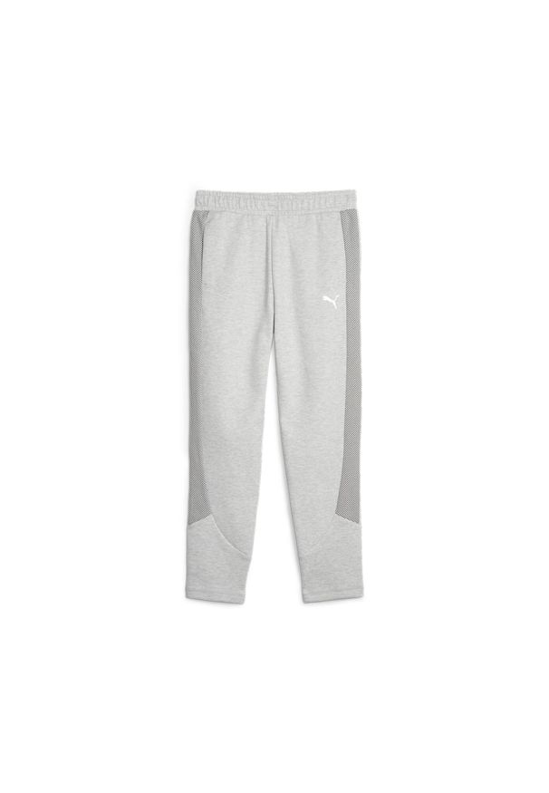 Puma Spodnie Evostripe Hw 67607504. Kolor: szary. Sport: fitness