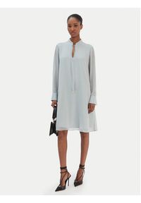 JOOP! Sukienka codzienna Delilah2 30101741 Zielony Relaxed Fit. Okazja: na co dzień. Kolor: zielony. Materiał: syntetyk. Typ sukienki: proste. Styl: casual #4
