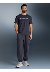 4f - 4F T-shirt regular z nadrukiem męski - szary L. Kolor: szary. Materiał: materiał. Wzór: nadruk #1