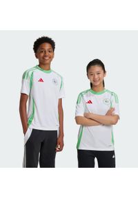 Adidas - Koszulka Algeria 24 Home Kids. Kolor: zielony, biały, wielokolorowy