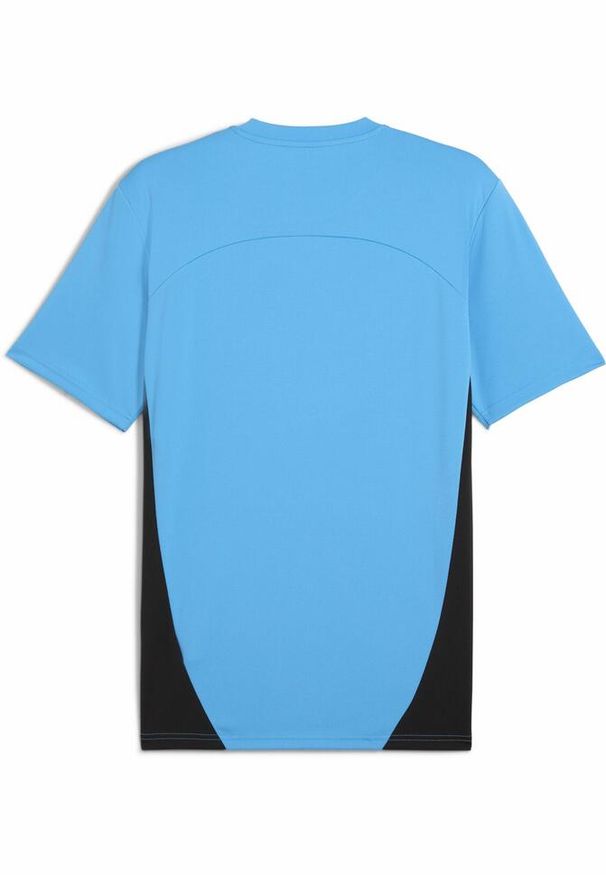 Puma - Koszulka treningowa OM 2024/25. Kolor: wielokolorowy, niebieski, szary