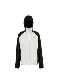 Regatta - Męska Kurtka Hybrydowa Andreson. Kolor: beżowy. Materiał: puch. Sport: turystyka piesza #1