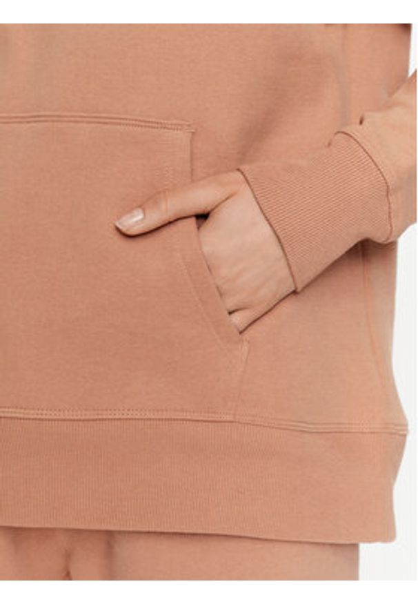 DKNY Sport Bluza DP2T9057 Brązowy Regular Fit. Kolor: brązowy. Materiał: bawełna, syntetyk. Styl: sportowy
